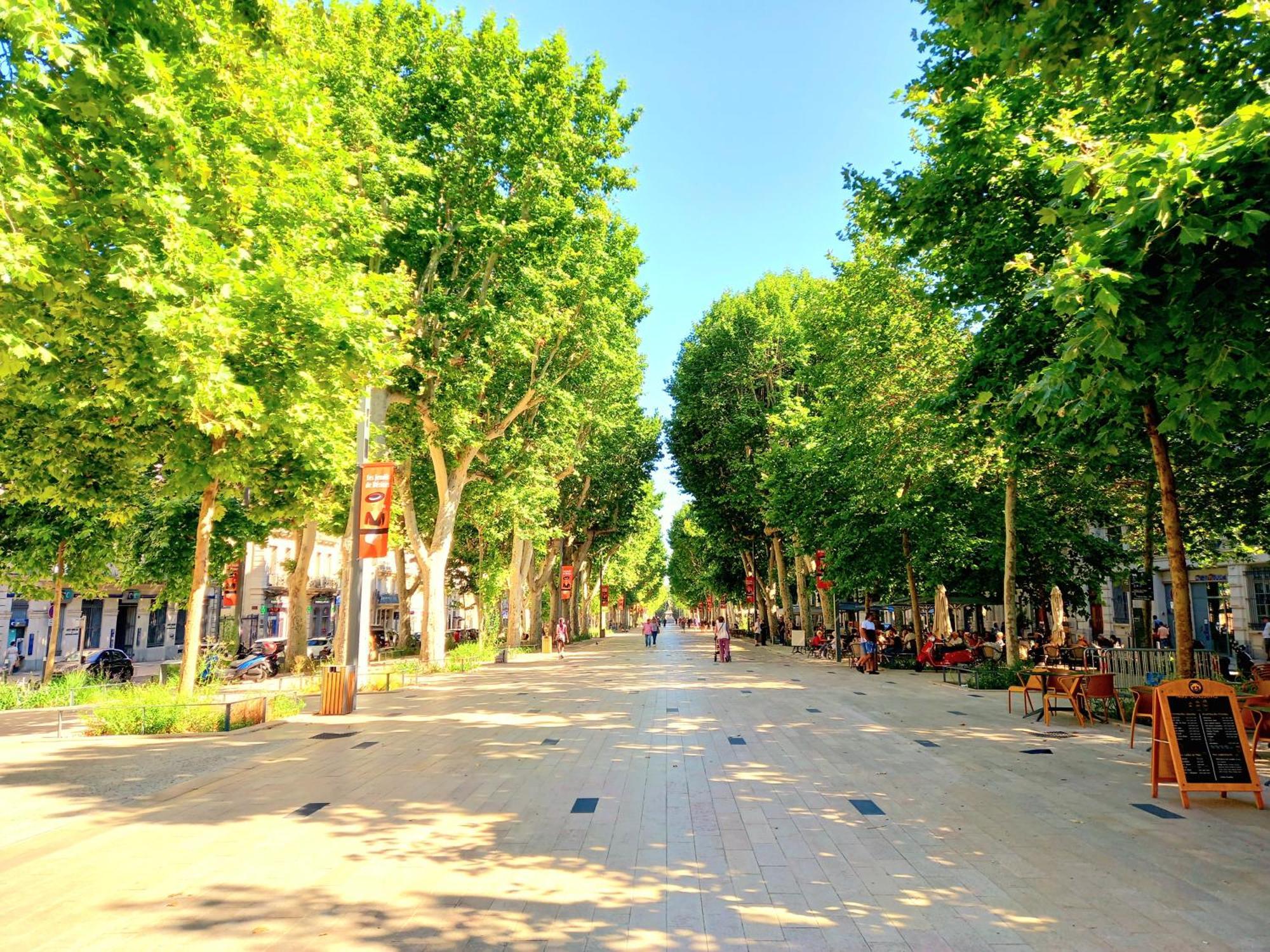 T2 Cathedrale & Torre Ventosa - Central - Clim - Wifi - Balcon - Free Parking Sur Demande Безье Экстерьер фото